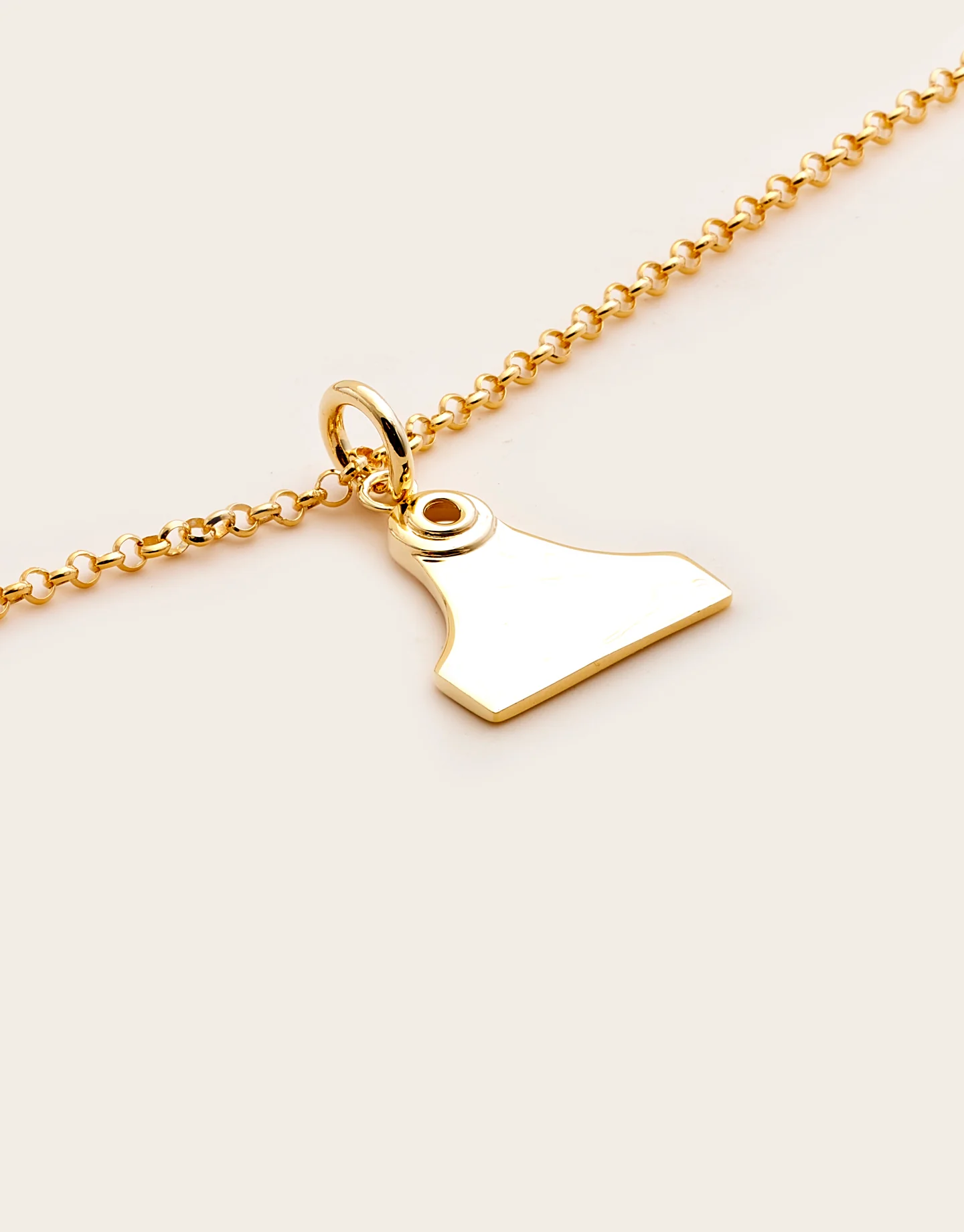Cattle Tag Necklace Medium - Image 3