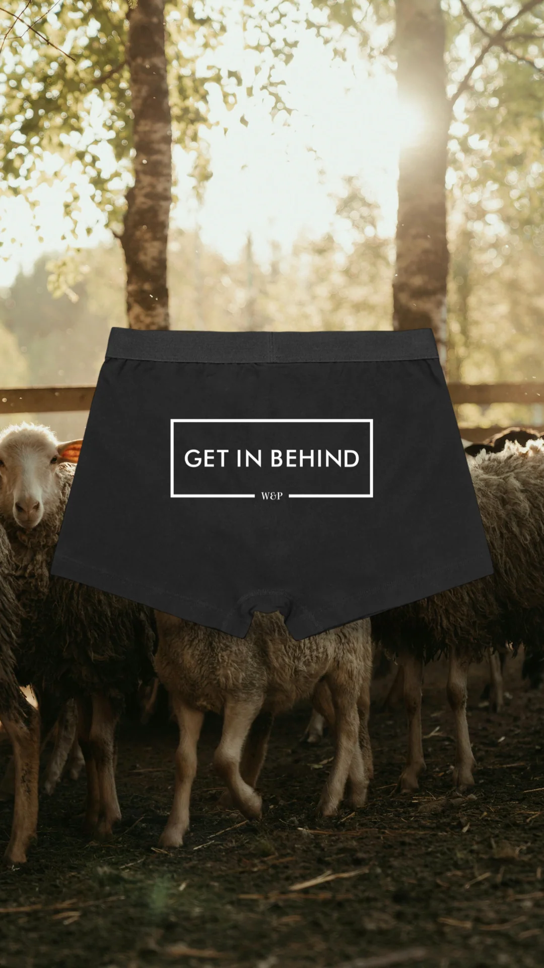 Fundies - Get in behind - Image 3