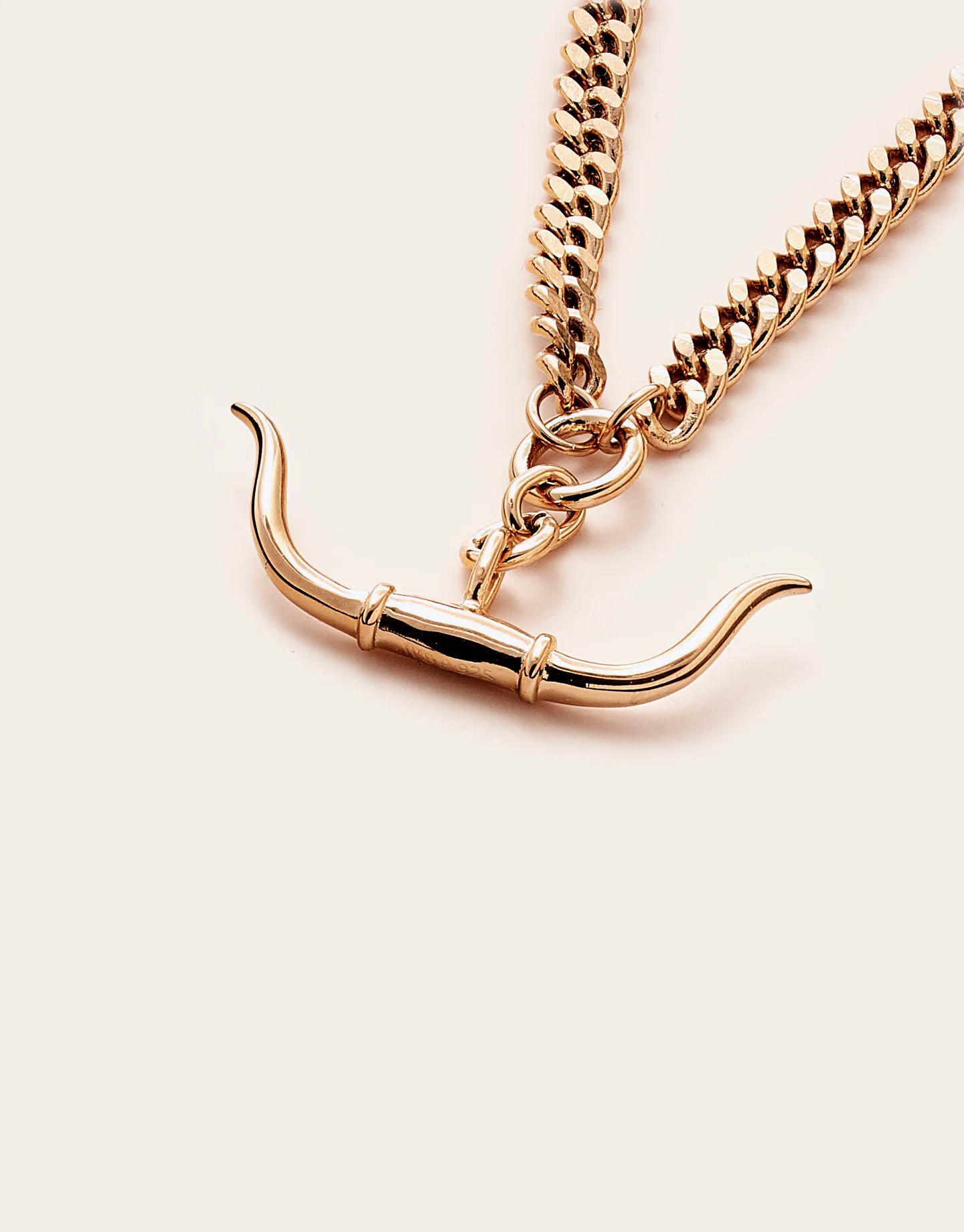 Trailblazer Longhorn Necklace - Image 6