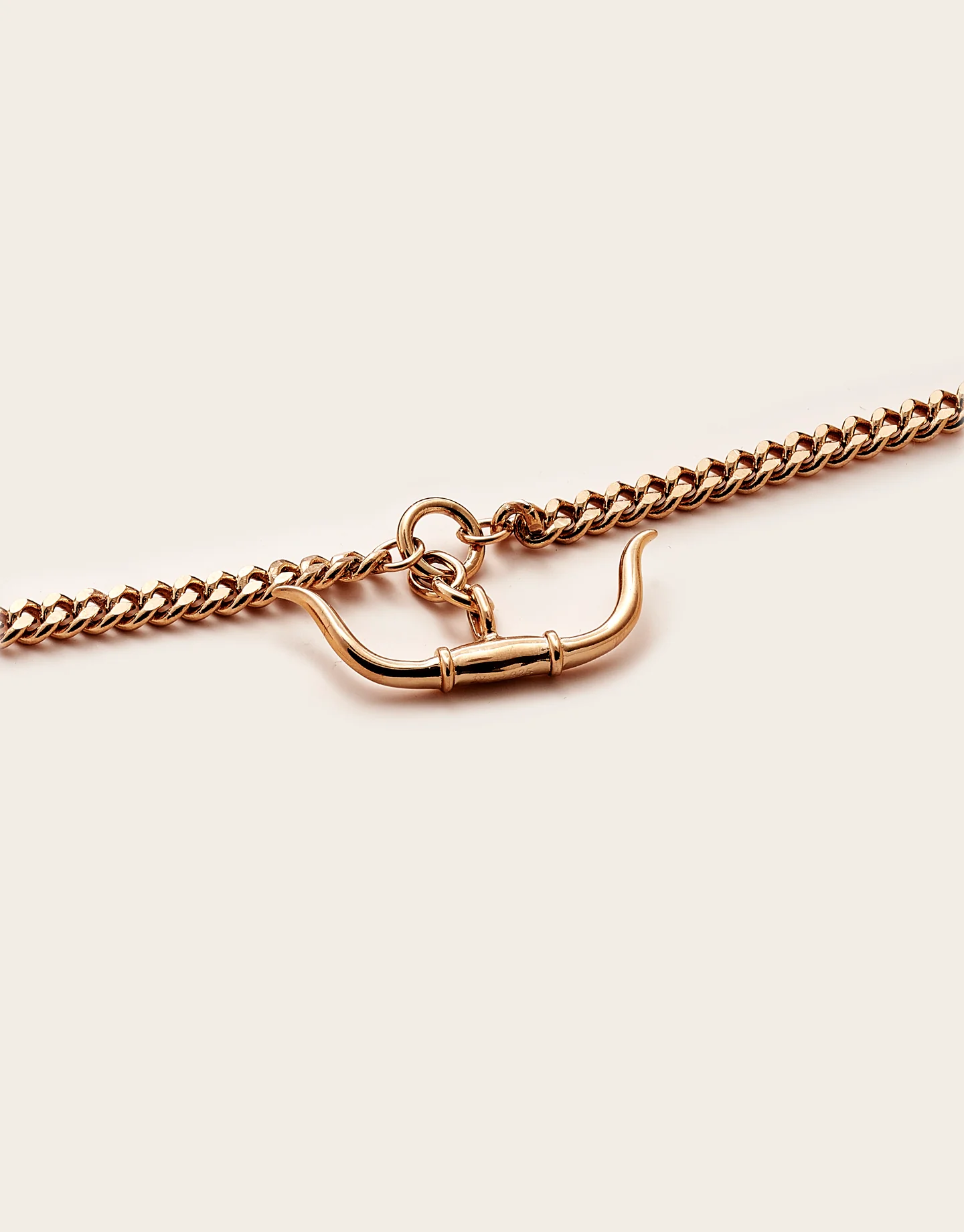 Trailblazer Longhorn Necklace - Image 7